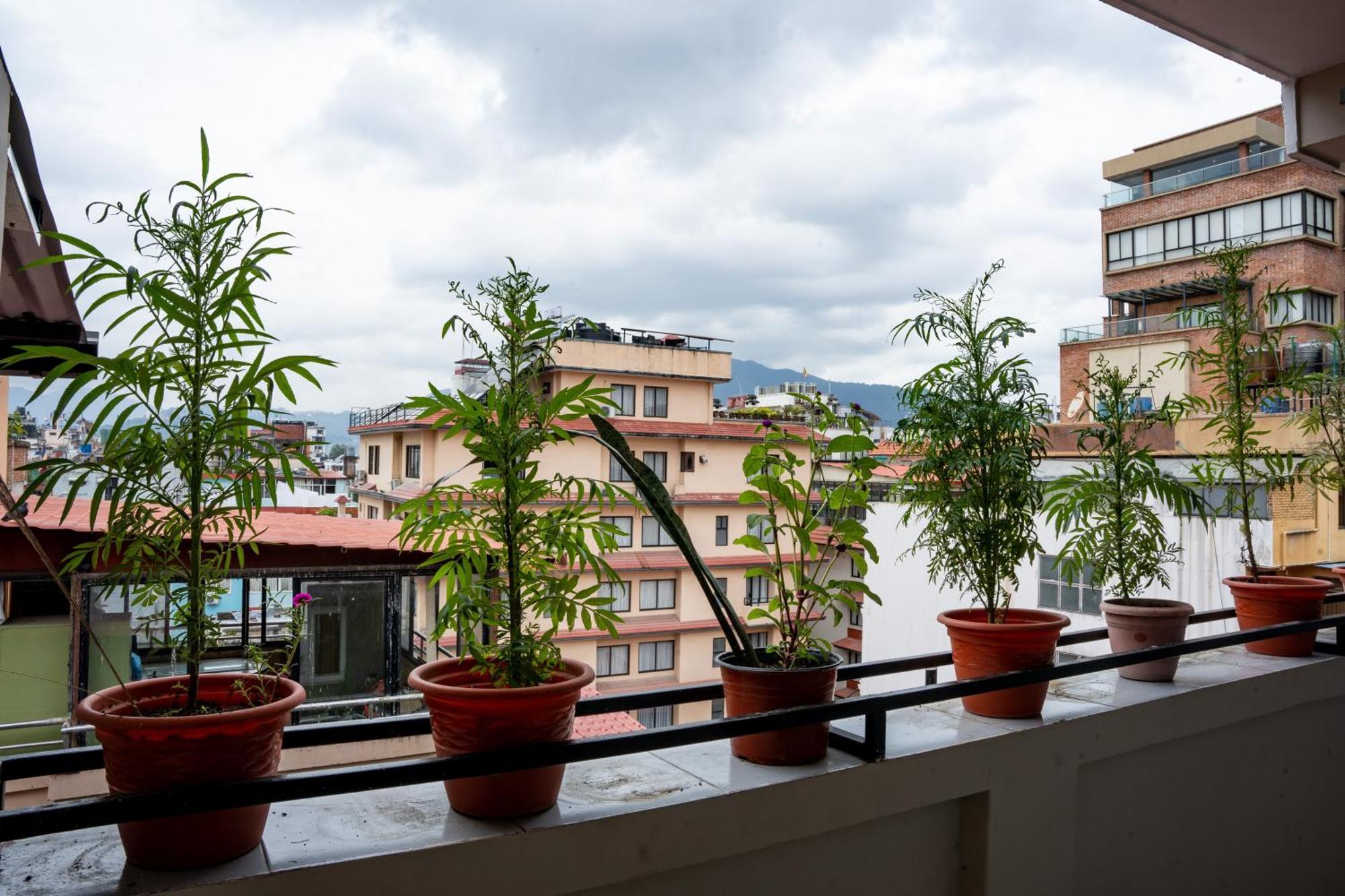 Divya Boutique Inn 加德满都 外观 照片